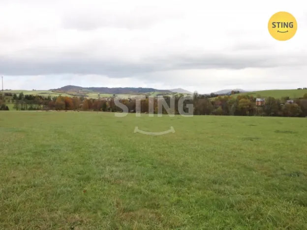 Prodej louky, Hostašovice, 2457 m2