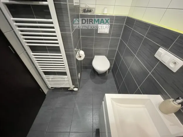 Pronájem bytu 2+kk, Plzeň - Bolevec, U Velkého rybníka, 60 m2