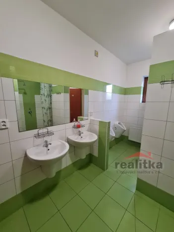 Prodej ubytování, Hradec nad Moravicí - Žimrovice, 1800 m2