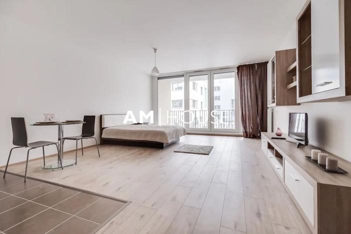 Pronájem bytu 1+kk, Praha - Žižkov, Olgy Havlové, 42 m2