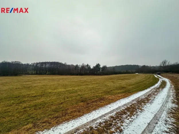 Prodej pole, Radětice, 30733 m2