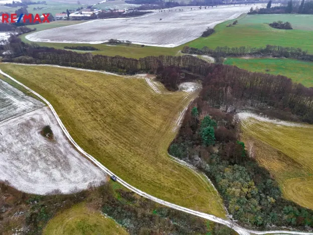 Prodej pole, Radětice, 30733 m2