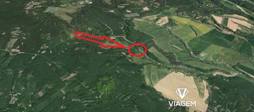 Prodej lesa, Dolní Krupá, 3736 m2