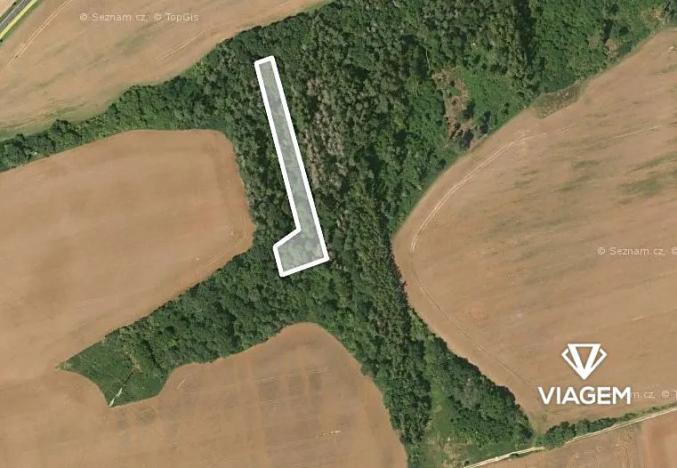 Prodej lesa, Chyňava, 3078 m2