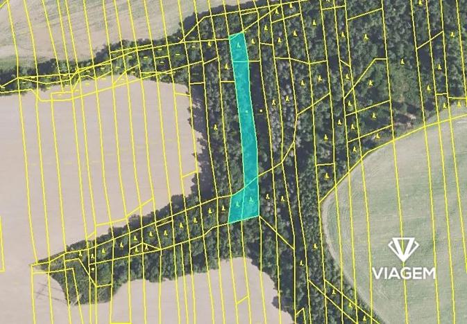 Prodej lesa, Chyňava, 3078 m2