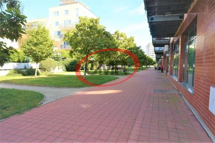 Pronájem bytu 2+kk, Praha, Voskovcova, 81 m2