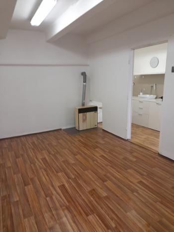Pronájem bytu 1+1, Olomouc, Smetanova, 45 m2