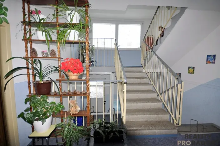 Prodej bytu 2+1, Zábřeh, Žerotínov, 45 m2