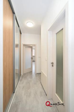 Pronájem bytu 2+kk, Praha, Remízková, 53 m2