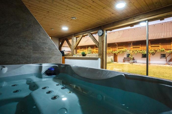 Prodej rodinného domu, Žabovřesky, 950 m2