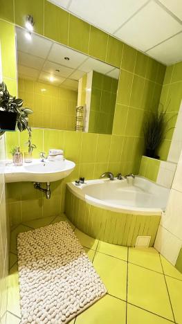 Prodej bytu 1+1, Hradec Králové, Milady Horákové, 47 m2