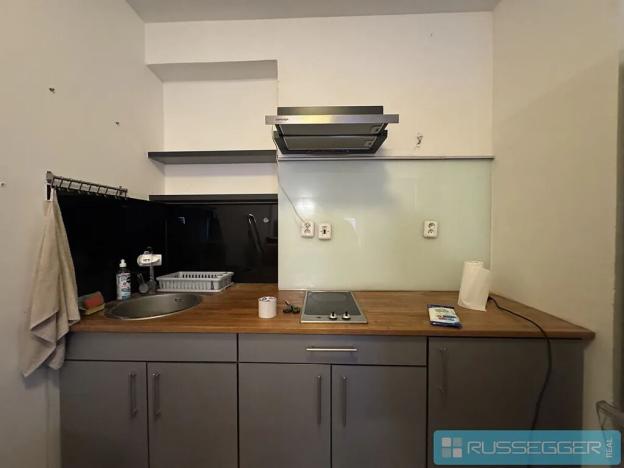 Pronájem bytu 1+1, Brno, Čápkova, 58 m2