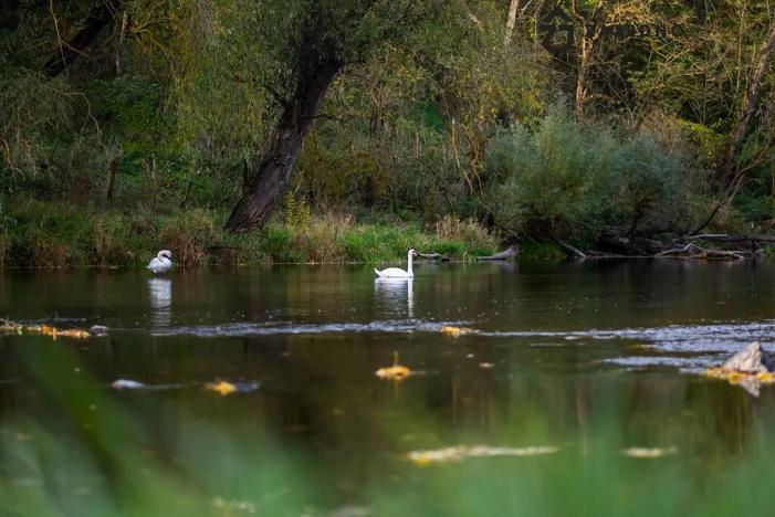 Prodej rodinného domu, Ivančice, 79 m2