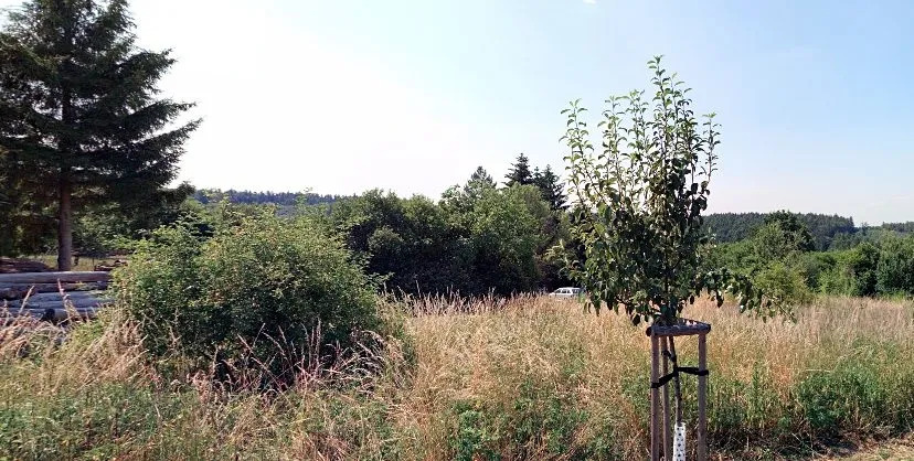 Dražba pozemku pro bydlení, Kostelec nad Černými lesy, Zahradní, 1788 m2