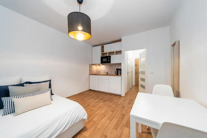 Prodej bytu 1+kk, Praha - Záběhlice, Narcisová, 25 m2