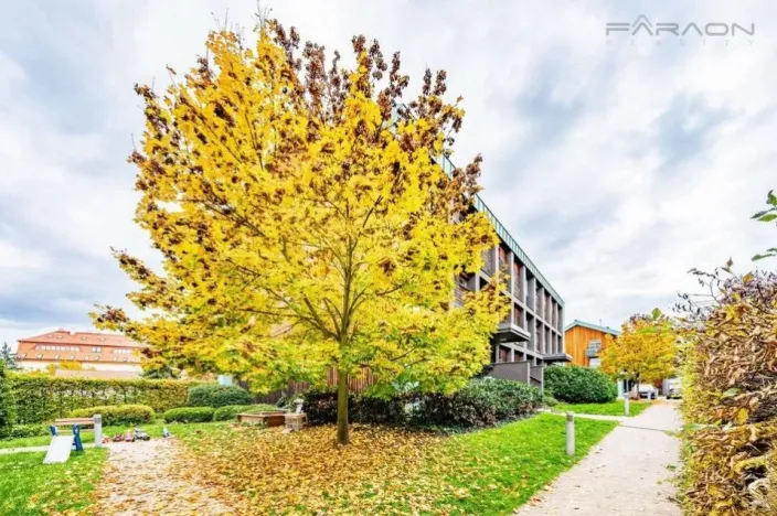 Pronájem bytu 2+1, Dobříš, 64 m2