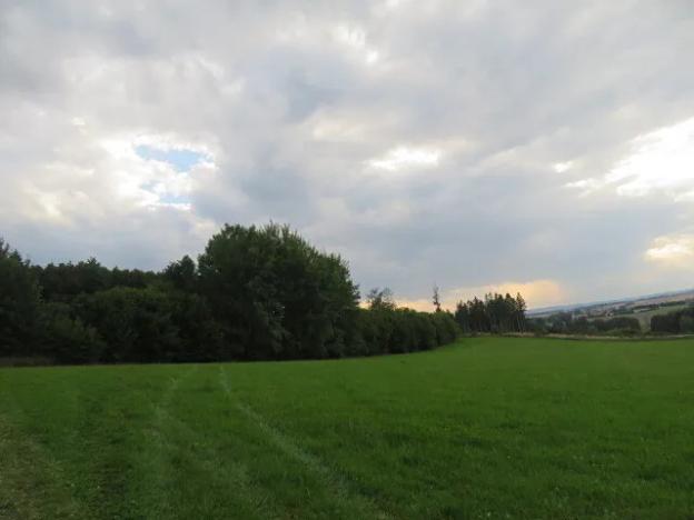 Dražba pole, Počátky, 11945 m2