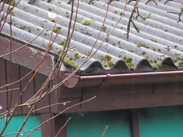 Dražba chaty, Kosova Hora, 10 m2