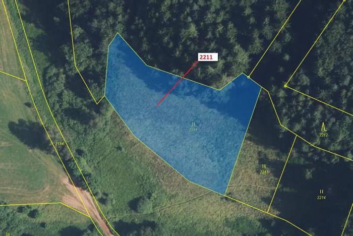 Dražba louky, Písečná, 3051 m2