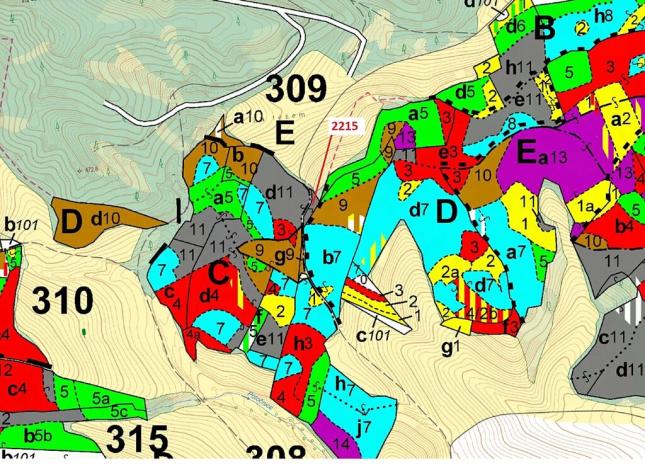 Dražba lesa, Písečná, 548 m2