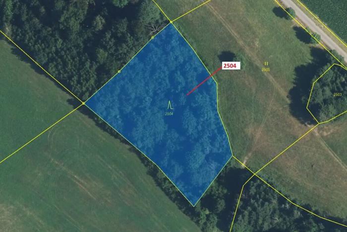 Dražba lesa, Písečná, 3497 m2