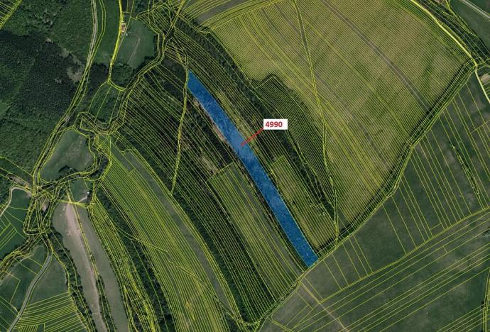 Dražba lesa, Bojkovice, 35849 m2