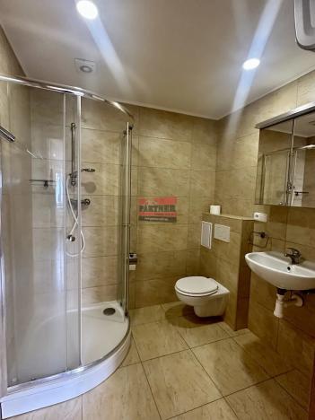 Pronájem bytu 1+kk, Horoměřice, M. Alše, 35 m2