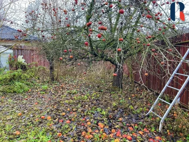 Prodej rodinného domu, Klučov, 120 m2