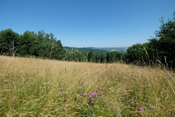 Prodej louky, Vyškovec, 4953 m2