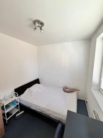 Pronájem bytu 1+1, Olomouc - Nová Ulice, Okružní, 26 m2