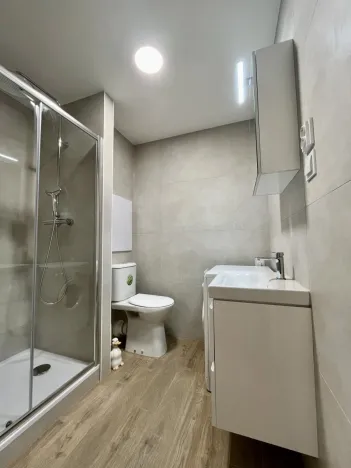 Pronájem bytu 1+1, Ostrava - Svinov, Evžena Rošického, 42 m2