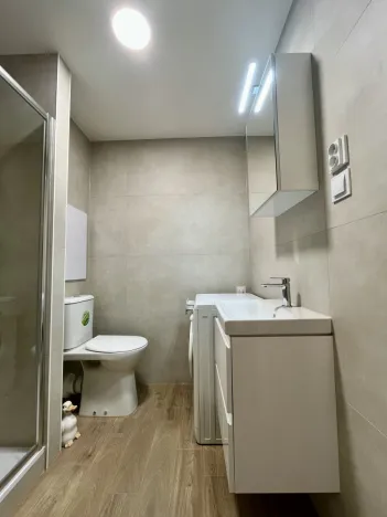 Pronájem bytu 1+1, Ostrava - Svinov, Evžena Rošického, 42 m2