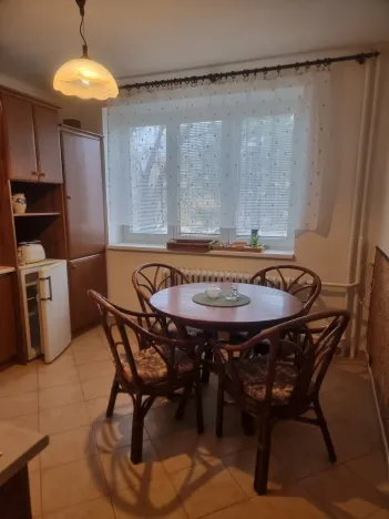 Pronájem bytu 3+1, České Budějovice - České Budějovice 5, Fr. Škroupa, 85 m2