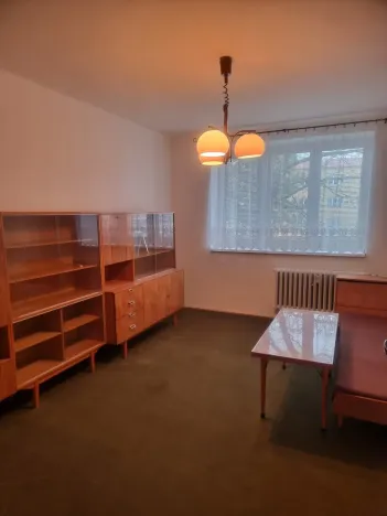 Pronájem bytu 3+1, České Budějovice - České Budějovice 5, Fr. Škroupa, 85 m2