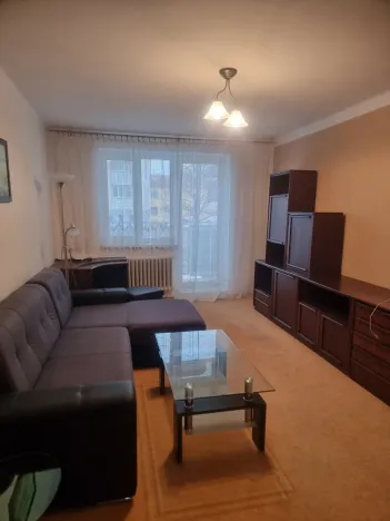 Pronájem bytu 3+1, České Budějovice - České Budějovice 5, Fr. Škroupa, 85 m2