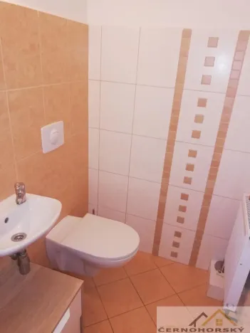 Pronájem bytu 1+kk, Rakovník - Rakovník I, 75 m2