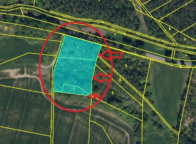 Prodej podílu lesa, Břehy, 2081 m2