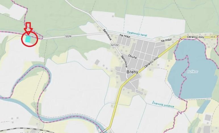 Prodej podílu lesa, Břehy, 2081 m2