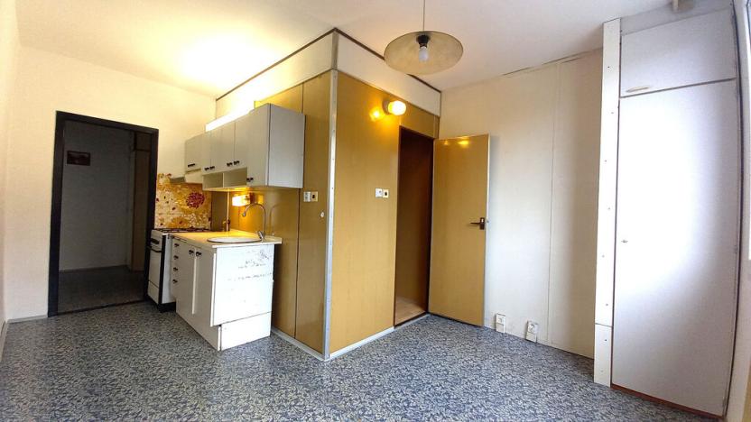 Prodej bytu 1+1, Ústí nad Labem - Severní Terasa, Kmochova, 44 m2