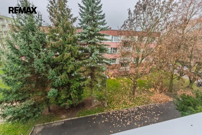 Prodej bytu 2+1, Chlumec, Krušnohorská, 64 m2