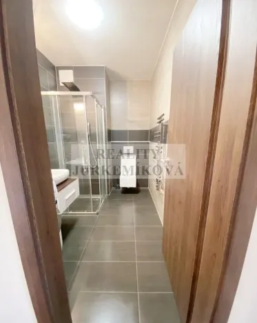 Pronájem bytu 1+kk, České Budějovice - České Budějovice 2, České Vrbné, 53 m2