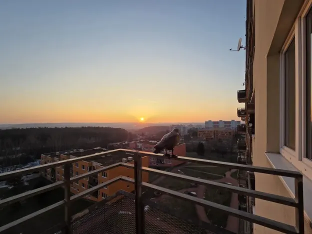 Prodej bytu 1+kk, Praha - Troja, Hnězdenská, 38 m2