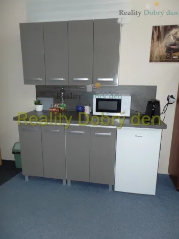 Pronájem skladu, Opava, Bochenkova, 219 m2