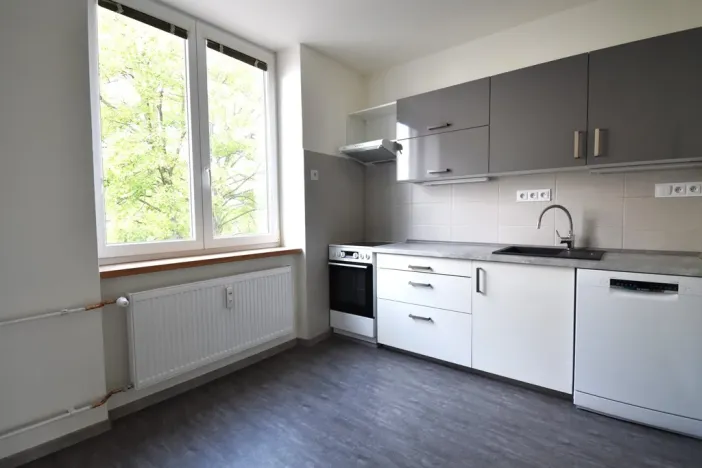 Pronájem bytu 2+1, Plzeň, Krejčíkova, 62 m2