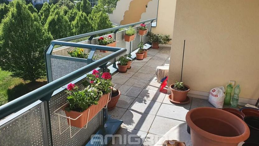 Pronájem bytu 2+kk, Brno, Plachty, 58 m2