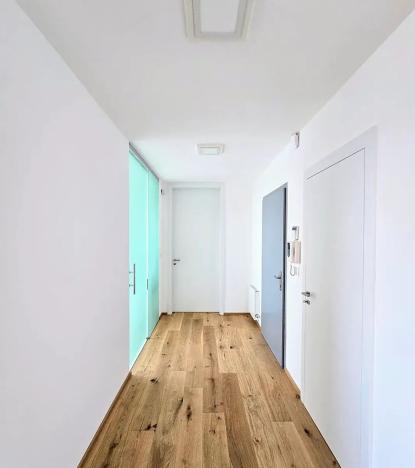 Pronájem bytu 3+kk, Praha, U Dívčích hradů, 123 m2