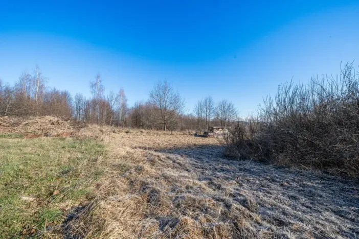 Prodej pozemku pro bydlení, Trhové Sviny, 1503 m2