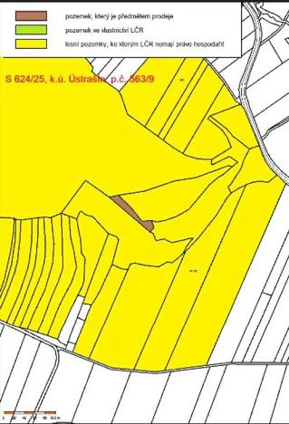 Prodej lesa, Ústrašín, 1179 m2