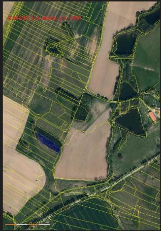 Prodej lesa, Mnich, 3111 m2