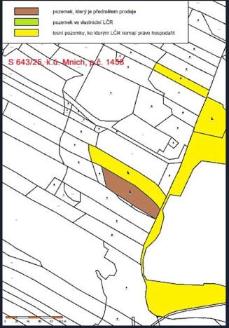 Prodej lesa, Mnich, 3111 m2